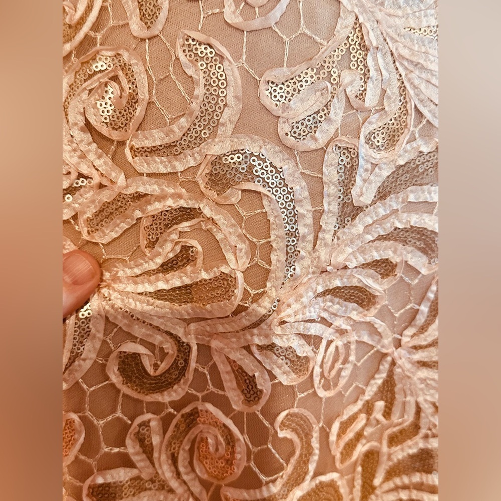 Betsy & Adam Lace & Sequin Formal Dress - Picture 4 of 12